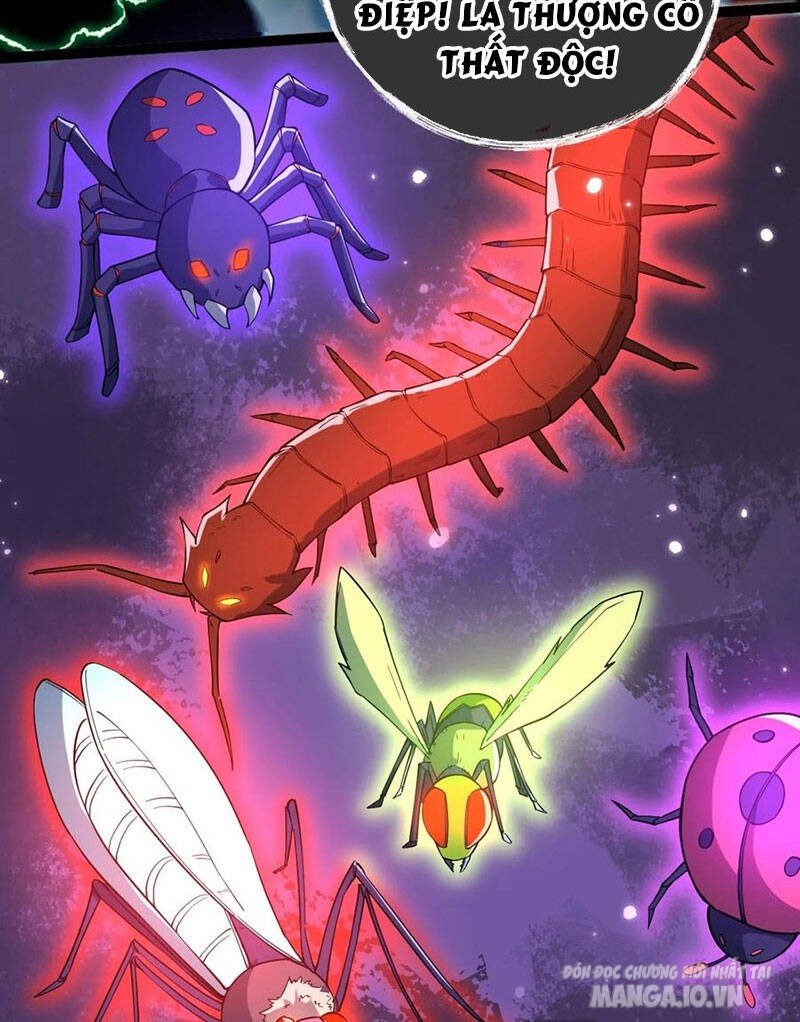 Vĩnh Sinh Chapter 27 - Trang 2
