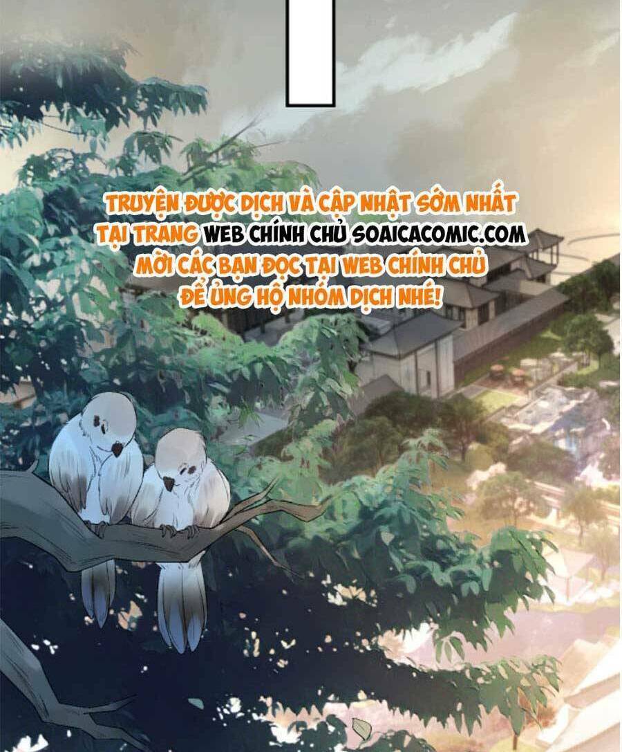 Vợ Của Lục Tổng Không Phải Dạng Vừa Chapter 30 - Trang 2