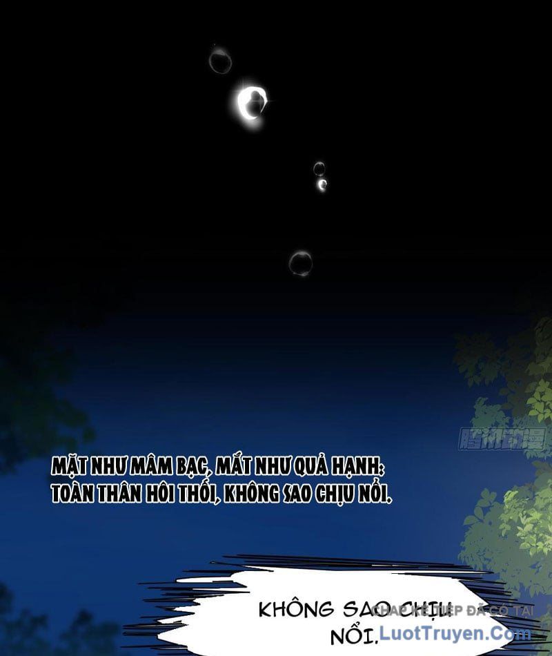 Võ Đại Lang Mạnh Nhất Tái Sinh Ở Thế Giới Thủy Hử Chapter 14 - Trang 2