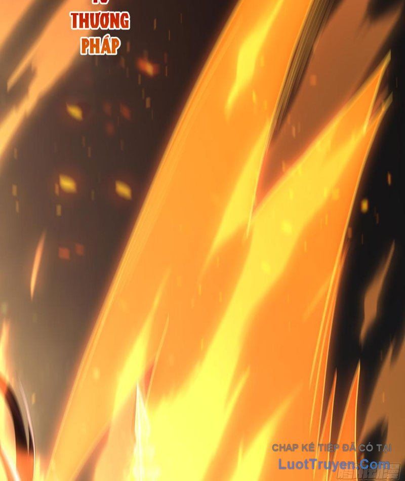 Võ Đại Lang Mạnh Nhất Tái Sinh Ở Thế Giới Thủy Hử Chapter 14 - Trang 2