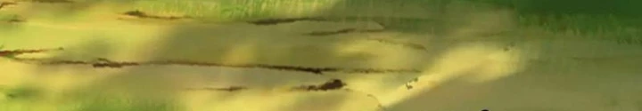 Võ Đạo Đại Đế Chapter 60 - Trang 2