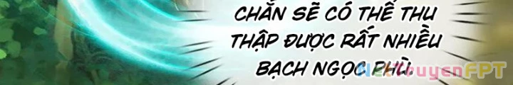 Võ Đạo Đại Đế Chapter 61 - Trang 2