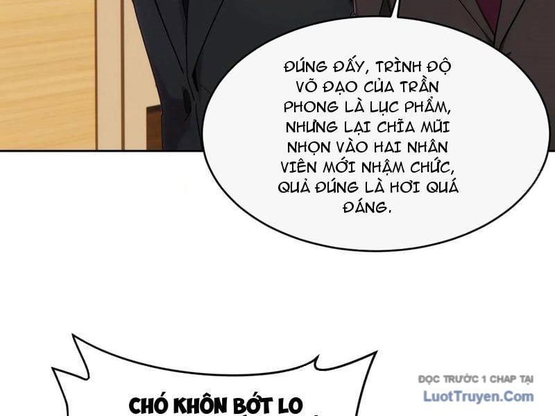 Võ Đạo Tông Sư Trùng Sinh Làm Công Nhân Chapter 37 - Trang 2