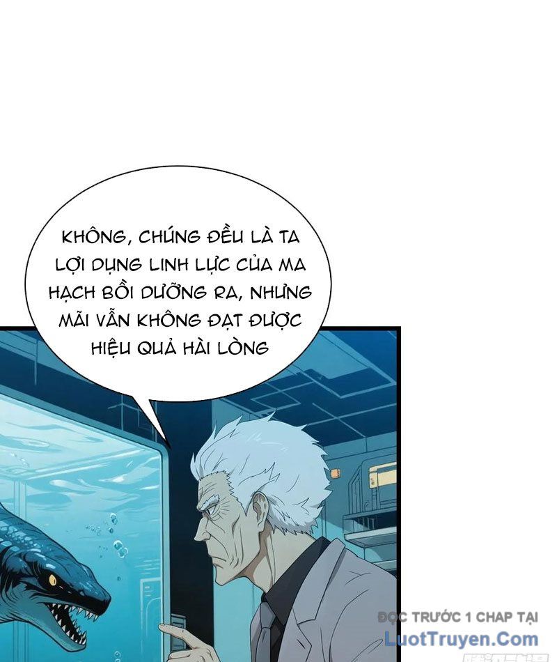 Võ Đạo Tông Sư Trùng Sinh Làm Công Nhân Chapter 38 - Trang 2