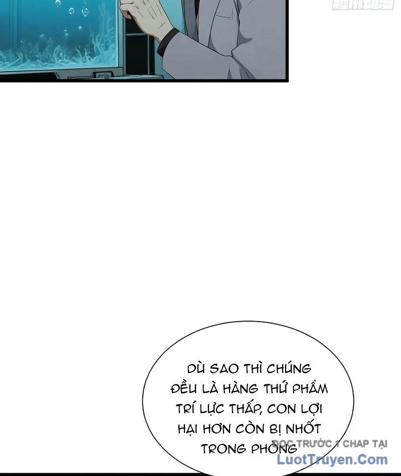 Võ Đạo Tông Sư Trùng Sinh Làm Công Nhân Chapter 38 - Trang 2