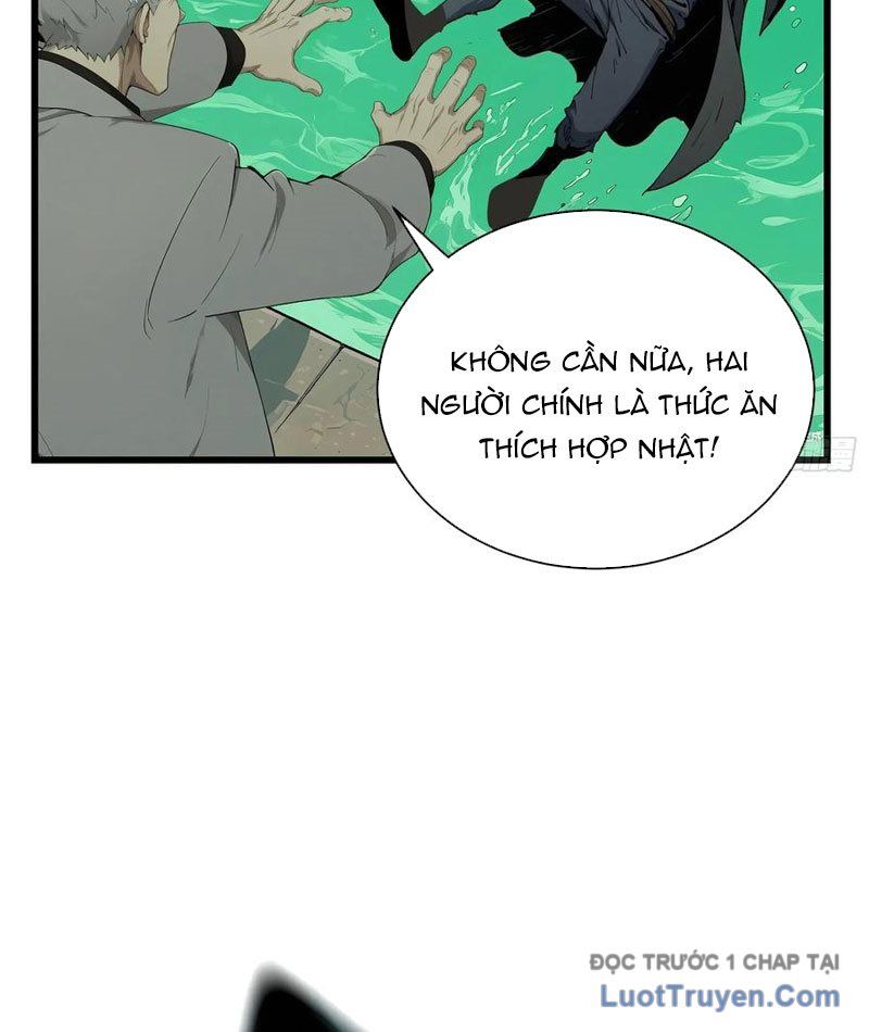 Võ Đạo Tông Sư Trùng Sinh Làm Công Nhân Chapter 38 - Trang 2