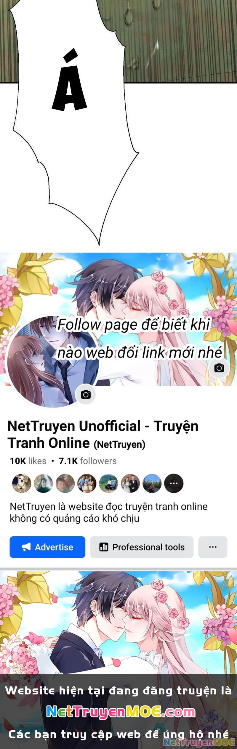 Vô Địch Bắt Đầu Từ Trúc Cơ Chapter 52 - Trang 2