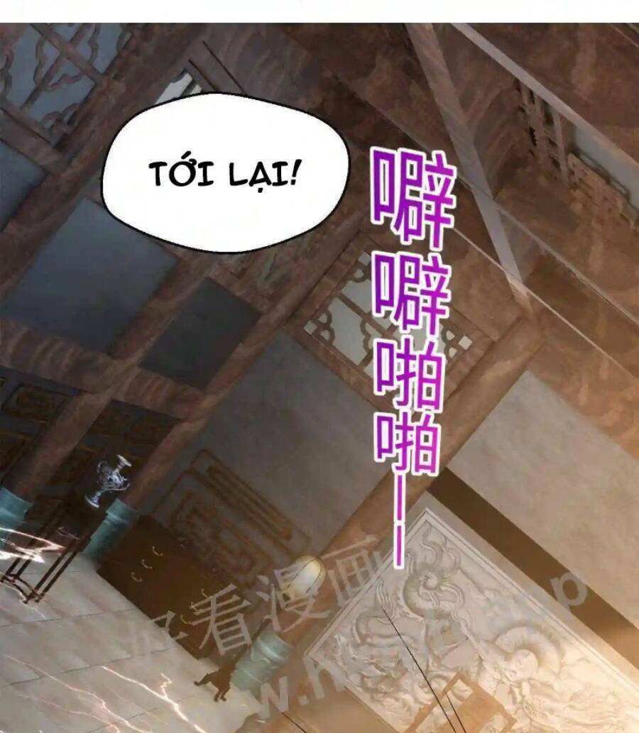 Vô Địch Đốn Ngộ Chapter 15 - Trang 2