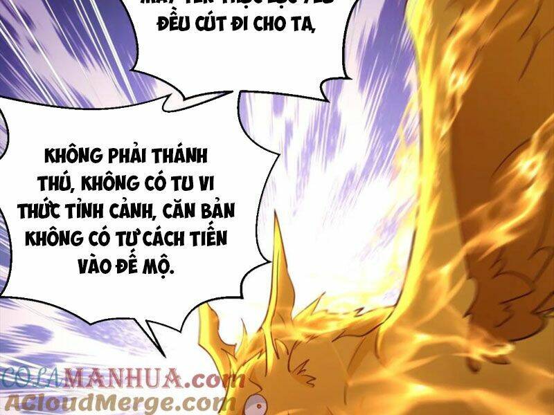 Vô Địch Đốn Ngộ Chapter 158 - Trang 2