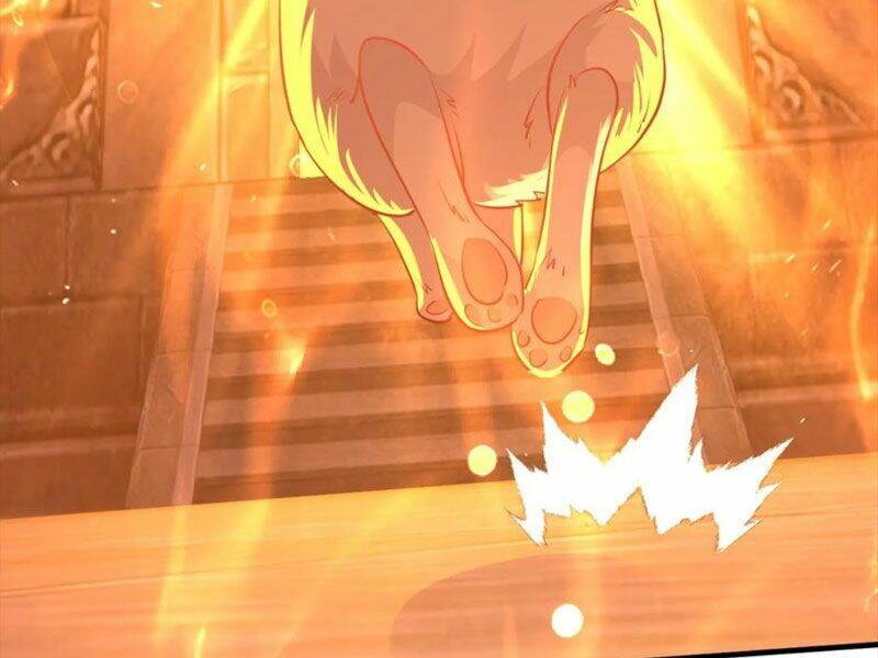 Vô Địch Đốn Ngộ Chapter 158 - Trang 2