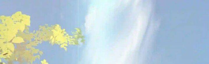 Vô Địch Đốn Ngộ Chapter 31 - Trang 2