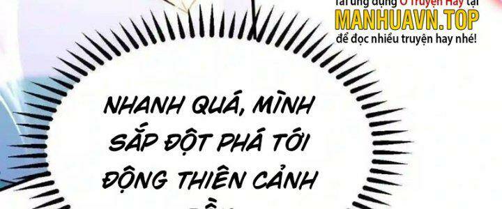 Vô Địch Đốn Ngộ Chapter 31 - Trang 2