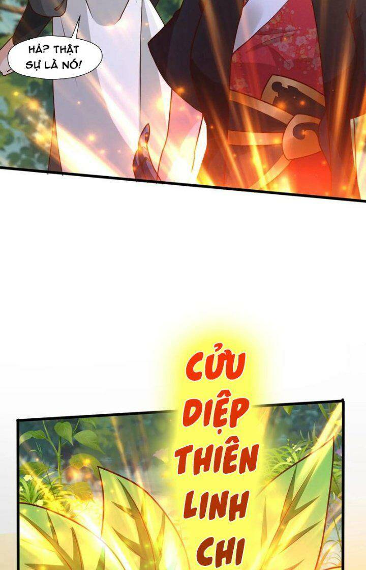 Vô Địch Đốn Ngộ Chapter 45 - Trang 2