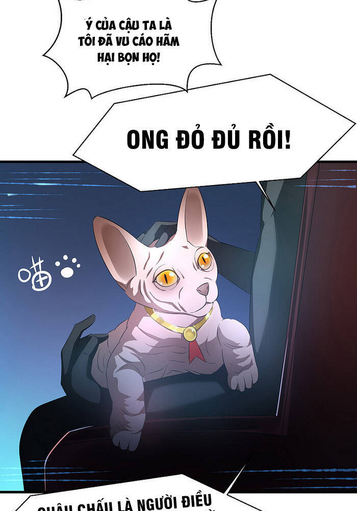 Vô Địch Học Bạ Hệ Thống Chapter 46 - Trang 2