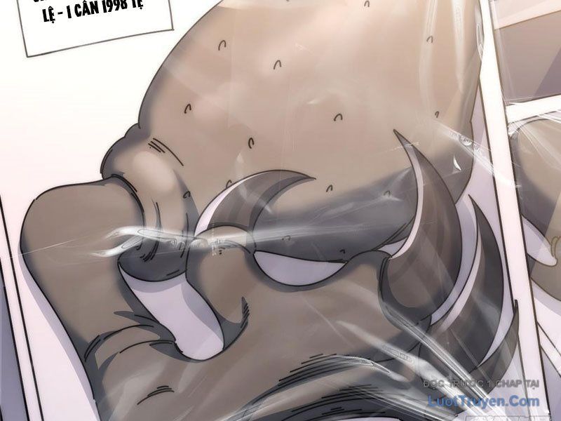Vô Hạn Tiến Hóa Từ Con Số 0 Chapter 11 - Trang 2