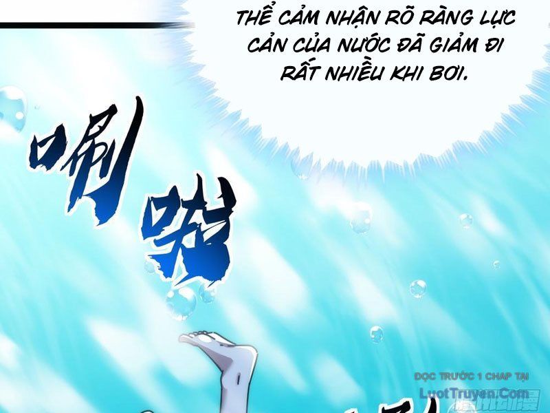 Vô Hạn Tiến Hóa Từ Con Số 0 Chapter 11 - Trang 2
