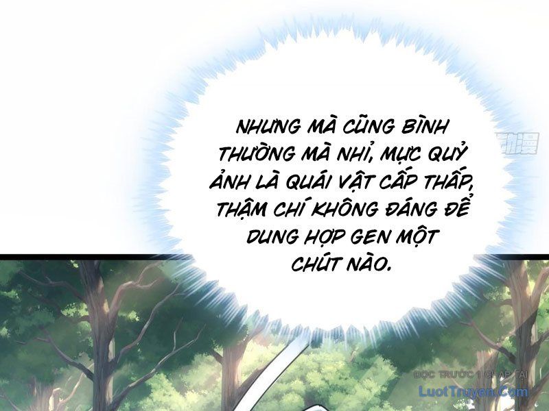 Vô Hạn Tiến Hóa Từ Con Số 0 Chapter 11 - Trang 2