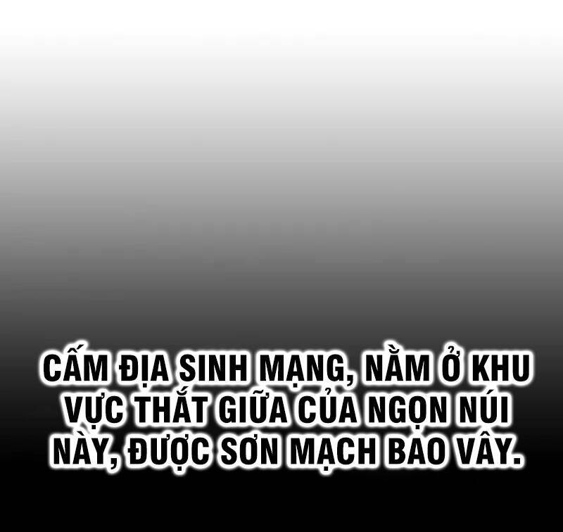 Võ Nghịch Chapter 206 - Trang 2