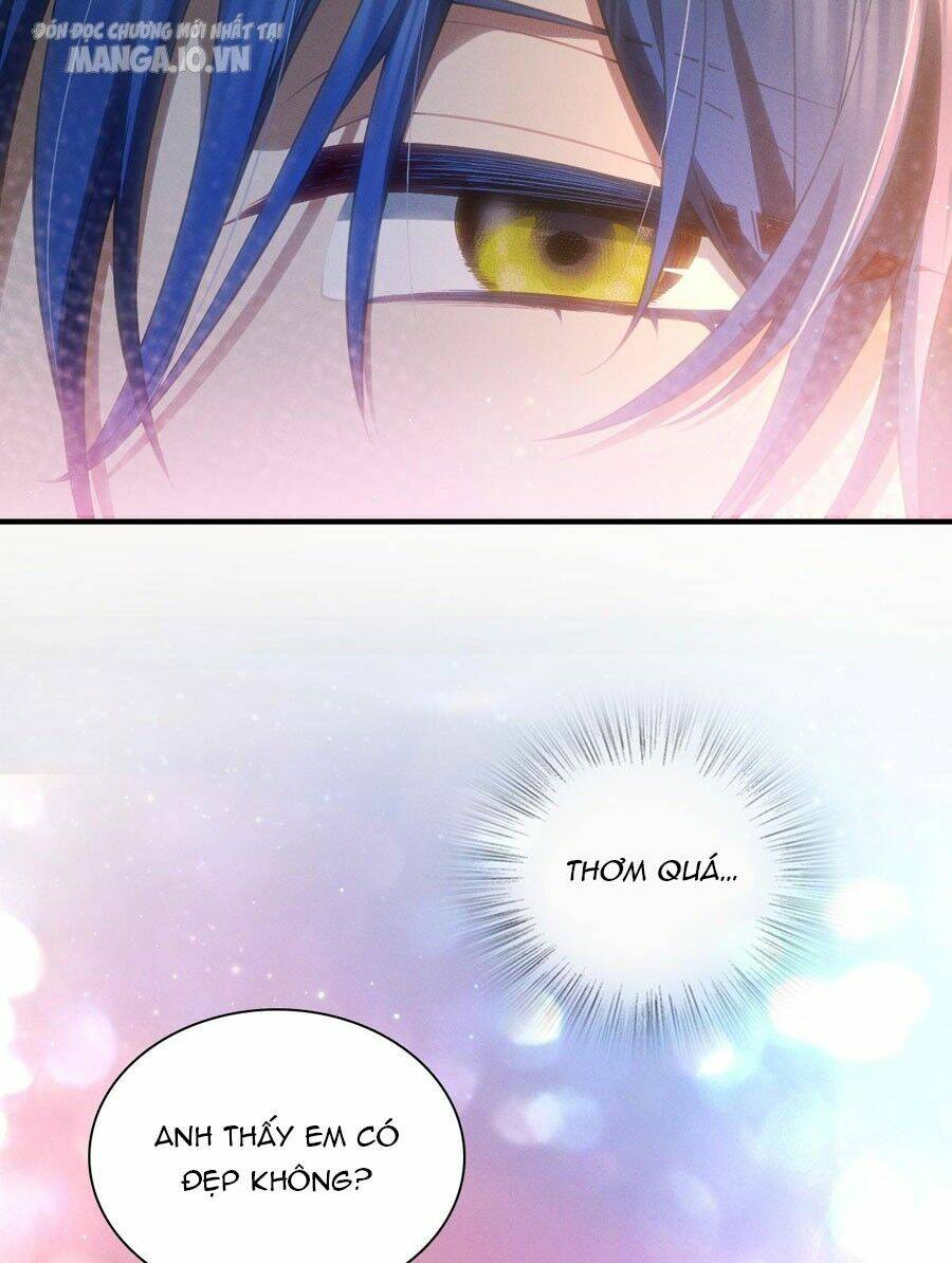 Vợ Ơi, Xin Hãy Ngoan Ngoãn Nhé Chapter 12 - Trang 2