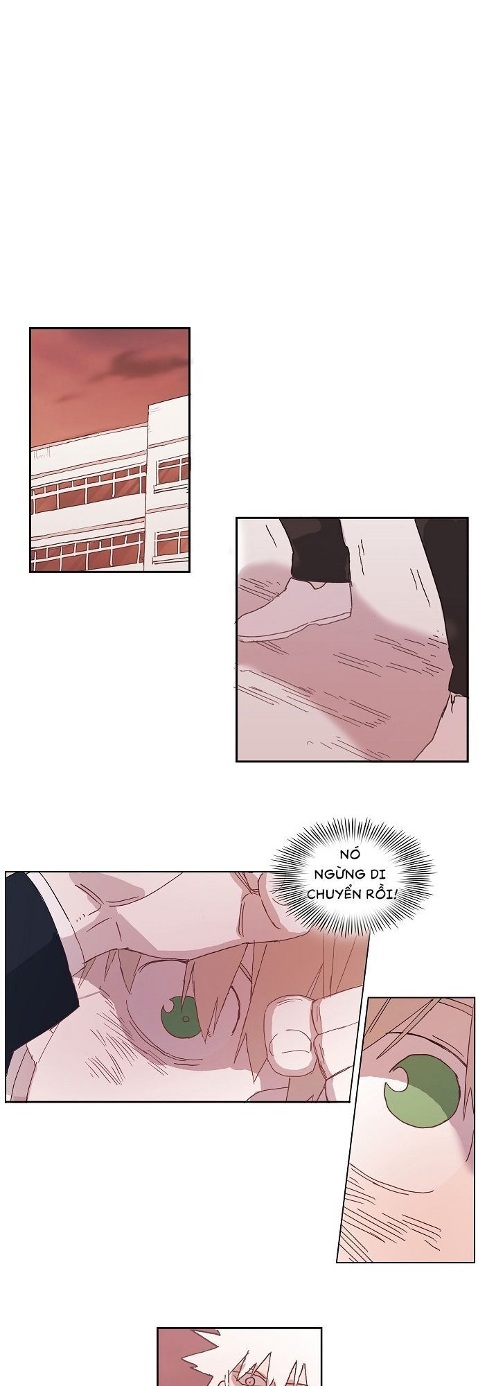 Võ Sĩ Quyền Anh Chapter 6 - Trang 2