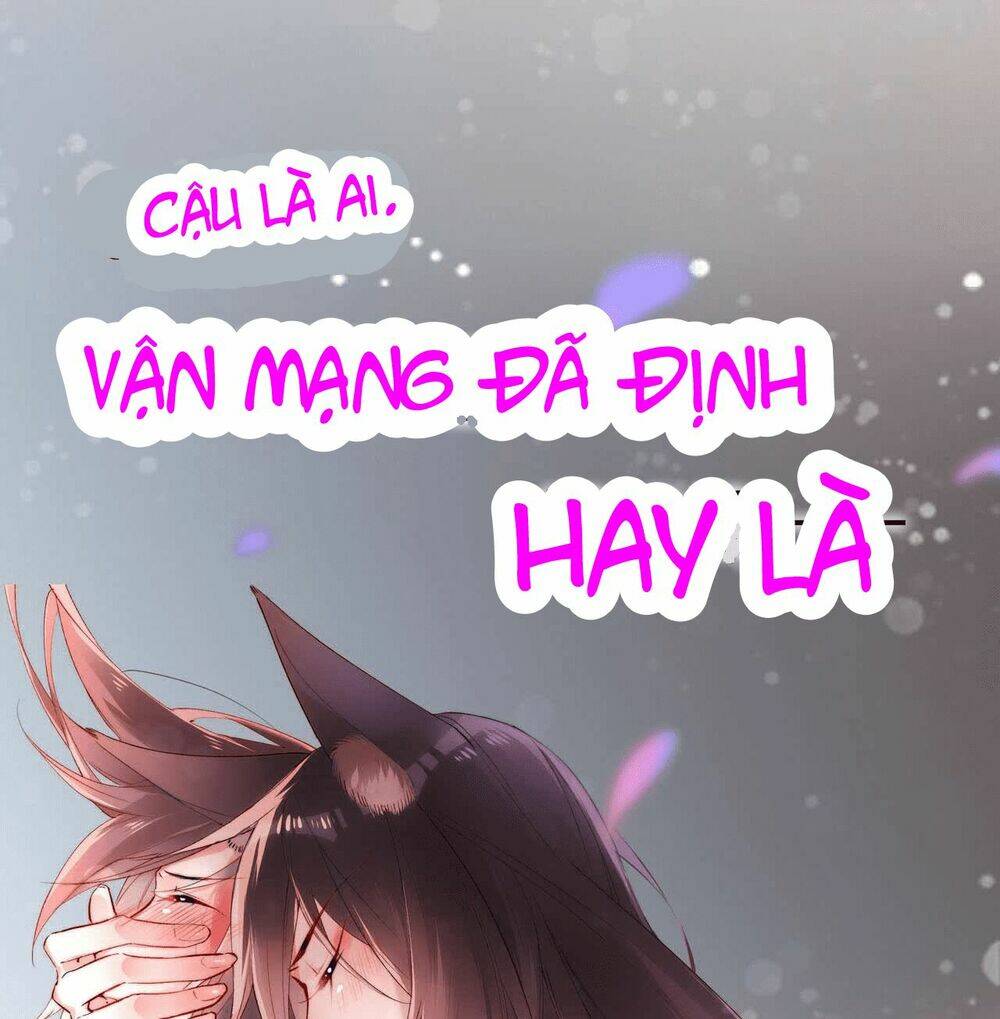 Vợ Tôi Là Chủ Tịch Hội Học Sinh Chapter 0 - Trang 2