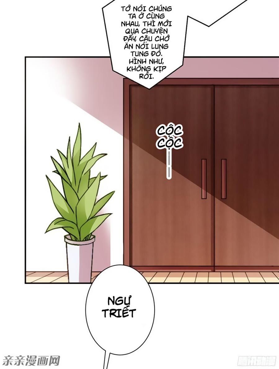 Vợ Yêu Là Báu Vật Chapter 45 - Trang 2