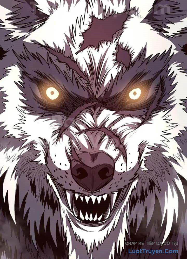 Vòng Chơi Thứ Hai Của Chiến Binh Cuồng Nộ Chapter 11 - Trang 2