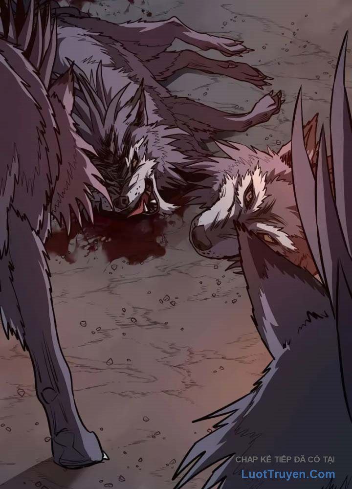 Vòng Chơi Thứ Hai Của Chiến Binh Cuồng Nộ Chapter 11 - Trang 2