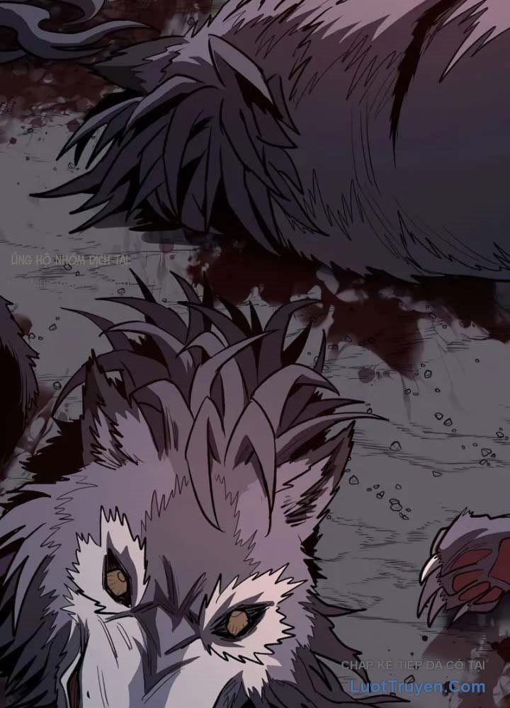 Vòng Chơi Thứ Hai Của Chiến Binh Cuồng Nộ Chapter 12 - Trang 2