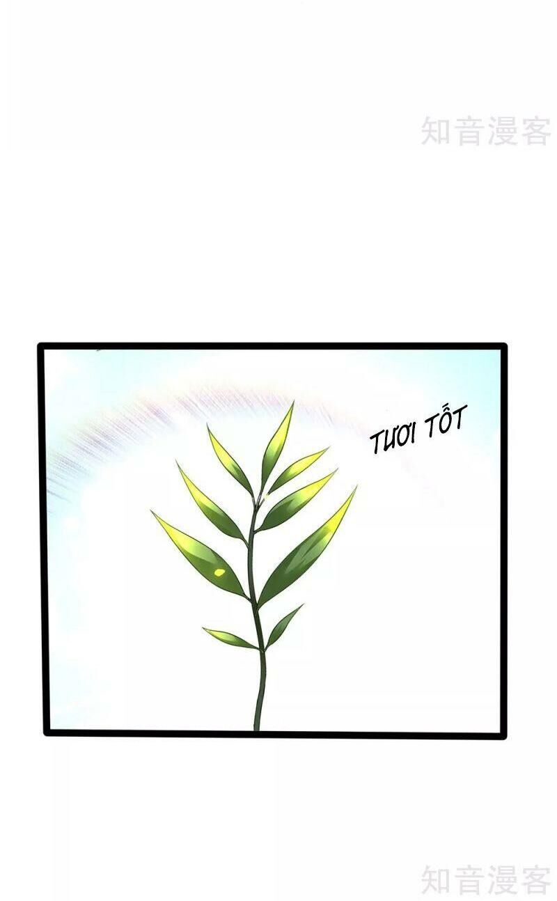 Vú Em Tiên Tôn Đi Ở Rể Chapter 154 - Trang 2