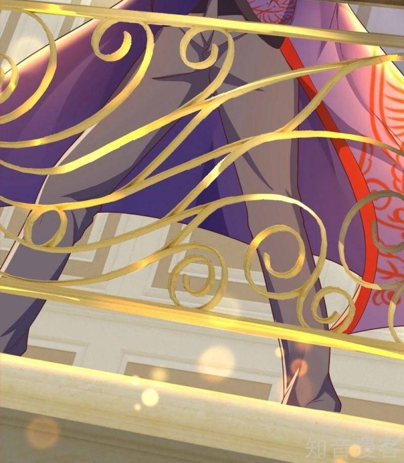 Vú Em Tiên Tôn Đi Ở Rể Chapter 196 - Trang 2