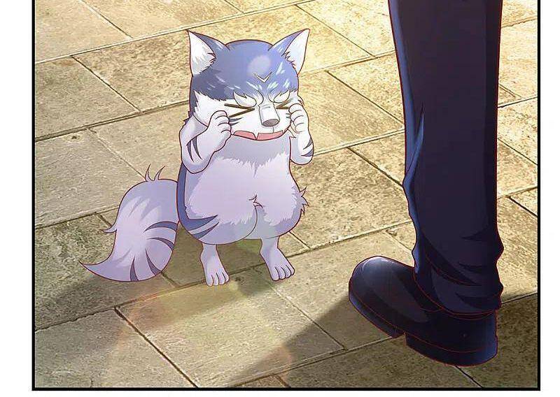 Vú Em Tiên Tôn Đi Ở Rể Chapter 220 - Trang 2