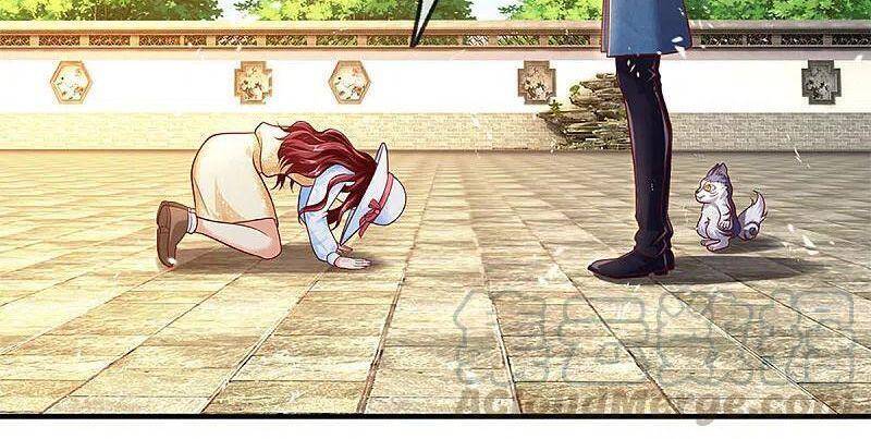 Vú Em Tiên Tôn Đi Ở Rể Chapter 221 - Trang 2