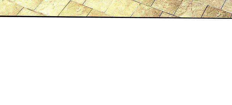 Vú Em Tiên Tôn Đi Ở Rể Chapter 221 - Trang 2