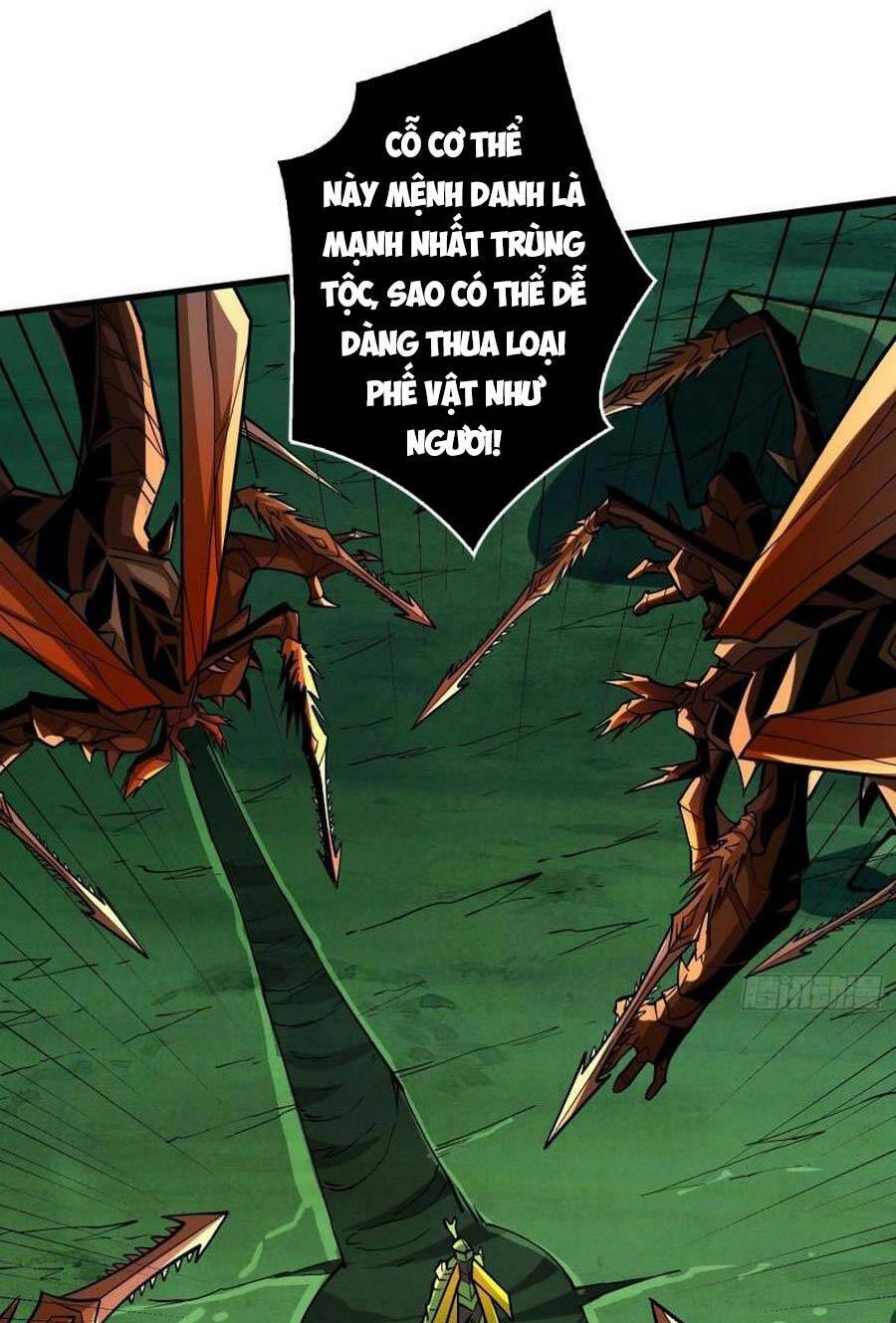 Vừa Chơi Đã Có Tài Khoản Vương Giả Chapter 157 - Trang 2