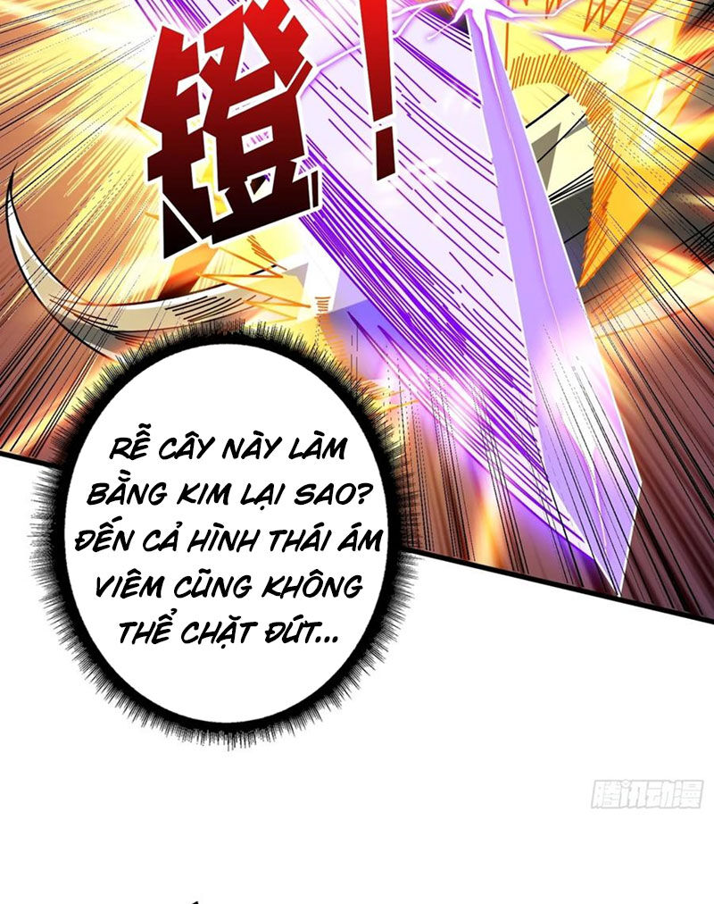 Vừa Chơi Đã Có Tài Khoản Vương Giả Chapter 365 - Trang 2