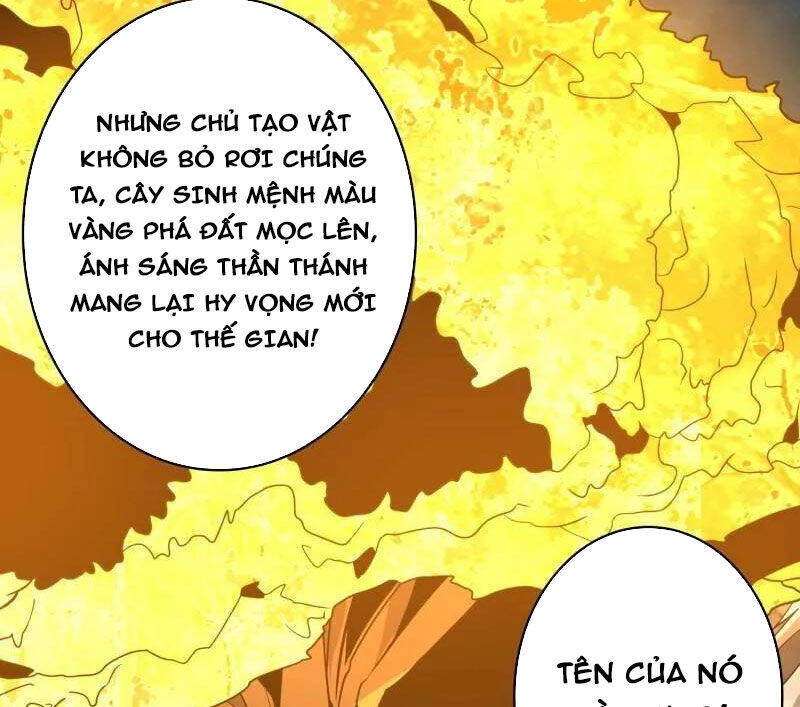 Vừa Chơi Đã Có Tài Khoản Vương Giả Chapter 481 - Trang 2