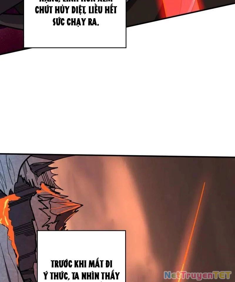 Vừa Chơi Đã Có Tài Khoản Vương Giả Chapter 502 - Trang 2