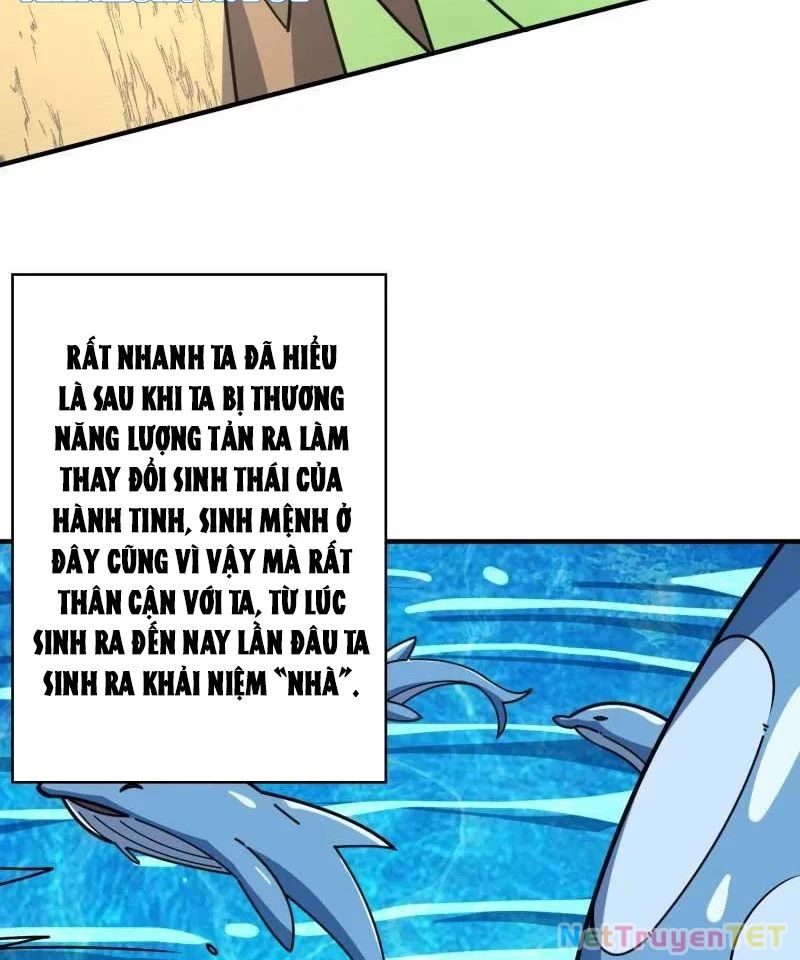 Vừa Chơi Đã Có Tài Khoản Vương Giả Chapter 502 - Trang 2