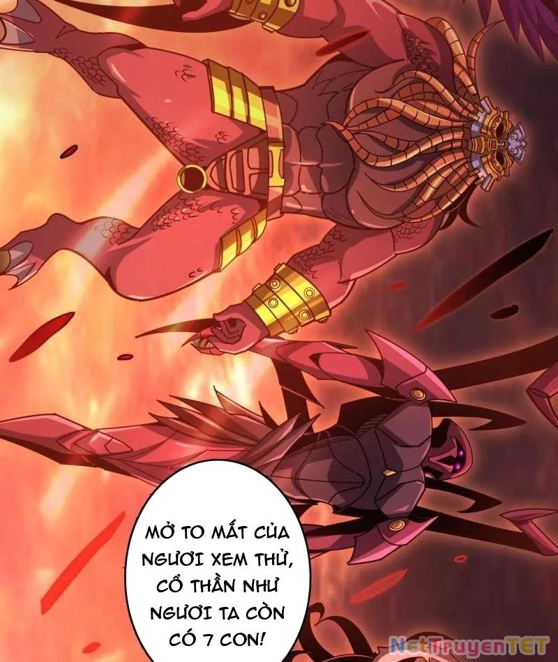 Vừa Chơi Đã Có Tài Khoản Vương Giả Chapter 502 - Trang 2