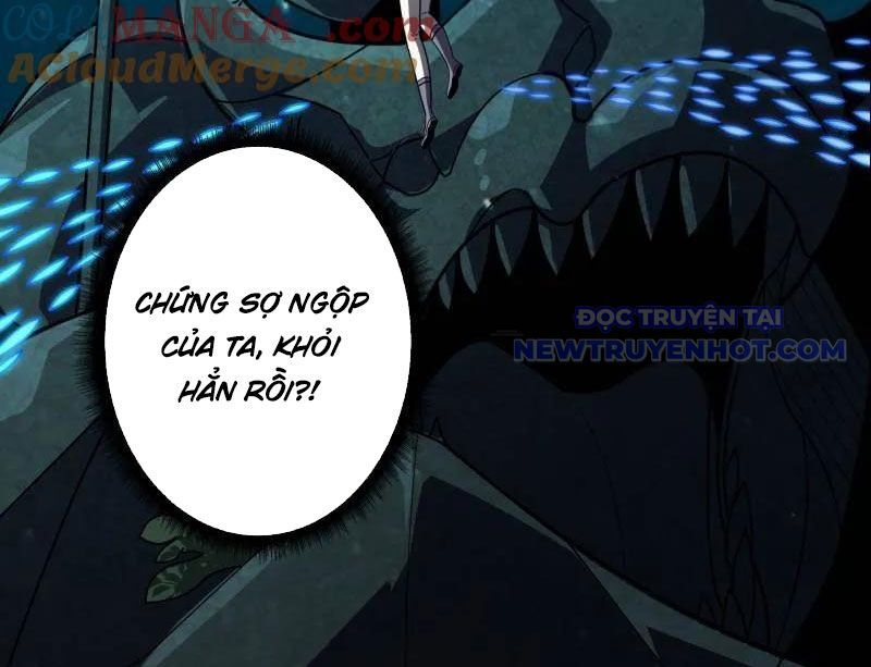 Vừa Chơi Đã Có Tài Khoản Vương Giả Chapter 503 - Trang 2