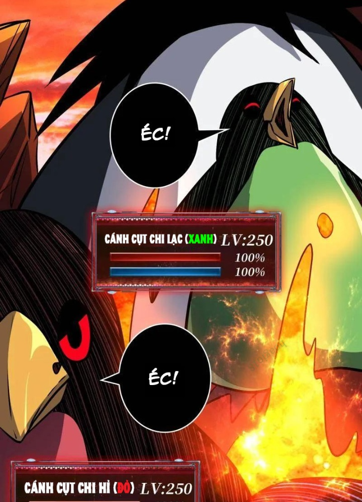 Vừa Chơi Đã Có Tài Khoản Vương Giả Chapter 530 - Trang 2