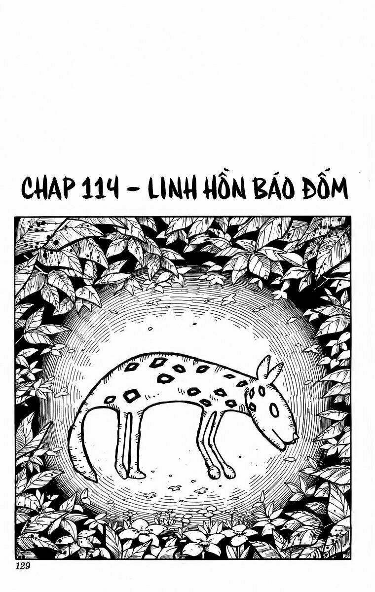 Vua Pháp Thuật Chapter 114 - Trang 2