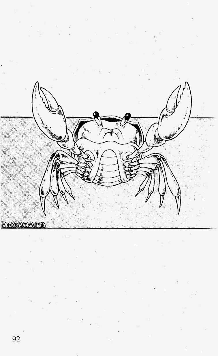 Vua Pháp Thuật Chapter 182 - Trang 2