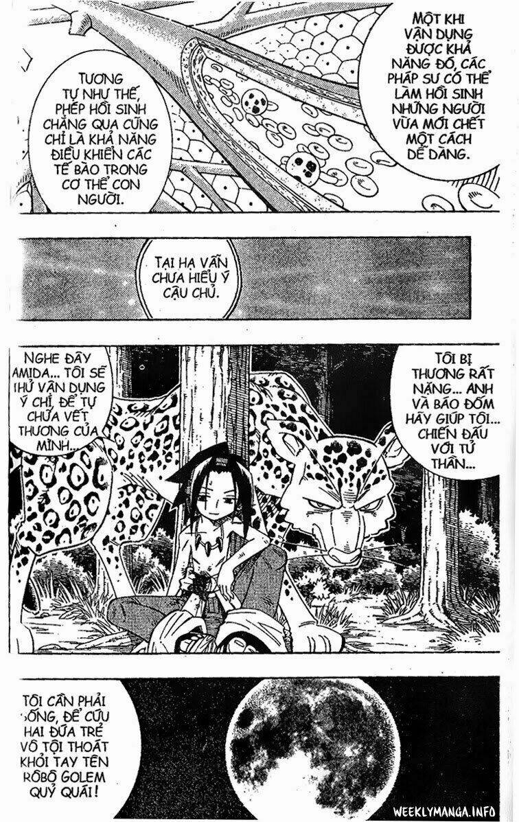 Vua Pháp Thuật Chapter 195 - Trang 2