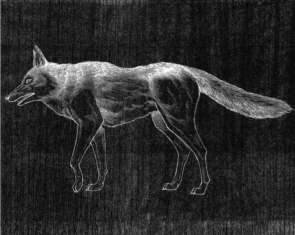 Vua Pháp Thuật Chapter 226 - Trang 2