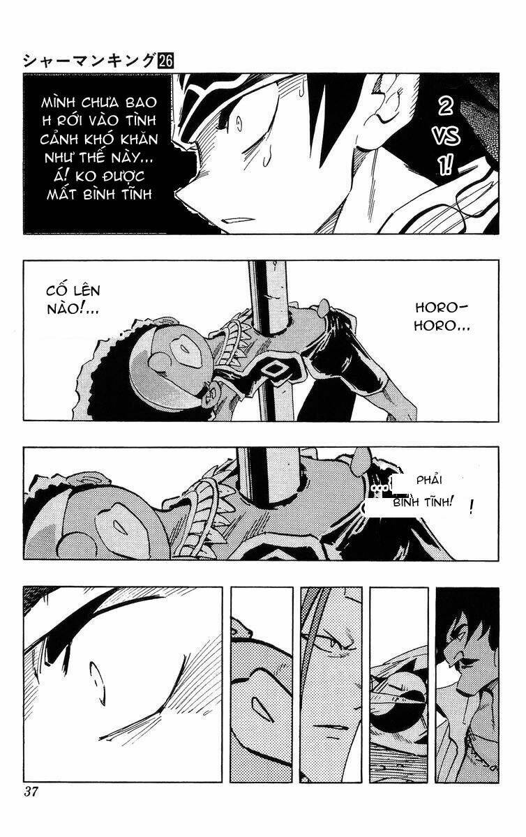 Vua Pháp Thuật Chapter 226 - Trang 2