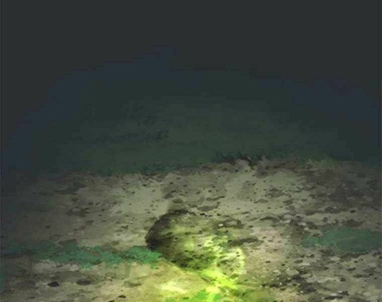 Vua Thăng Cấp Chapter 105 - Trang 2