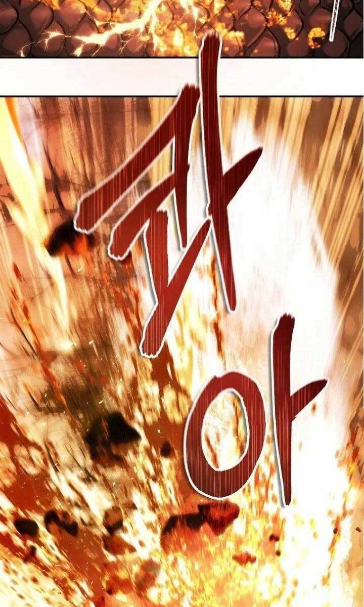 Vua Thăng Cấp Chapter 134 - Trang 2