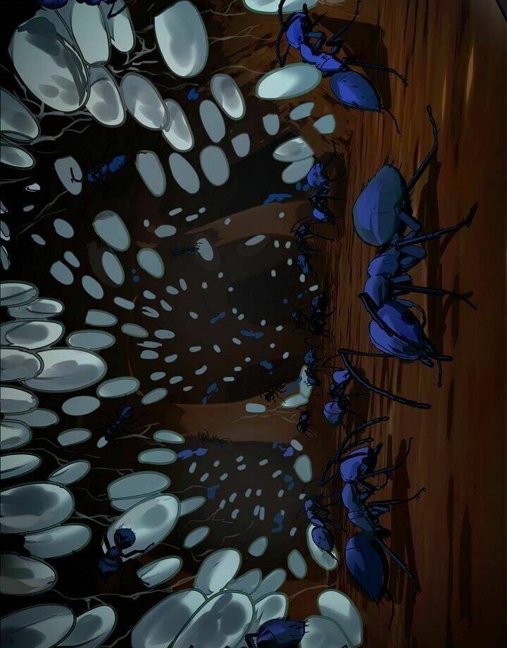 Vua Thăng Cấp Chapter 9 - Trang 2